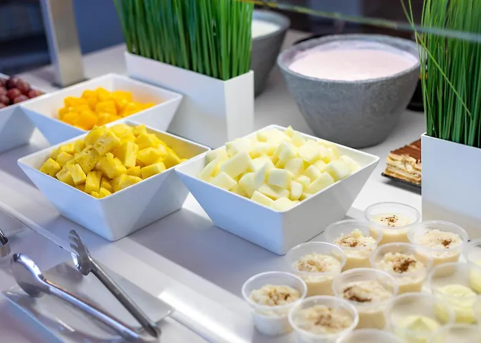 Alexandre Frontair Congress 호텔