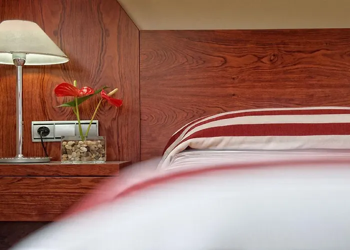 Alexandre Frontair Congress 산트 보이 데 요브레가트